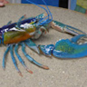 Meet your Posher, Abraham